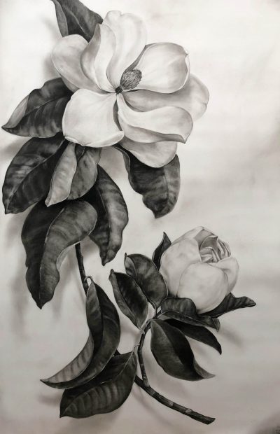 Magnolia With Bud