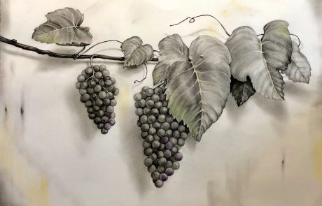 Wine Vine