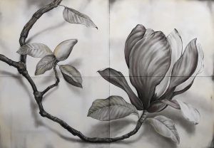 Japanese Magnolia