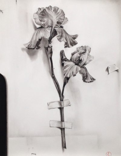 Double Iris