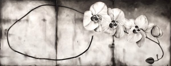 Large Horizontal Orchid