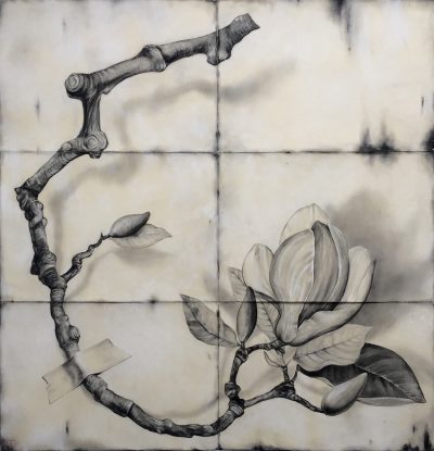 Large Magnolia Branch