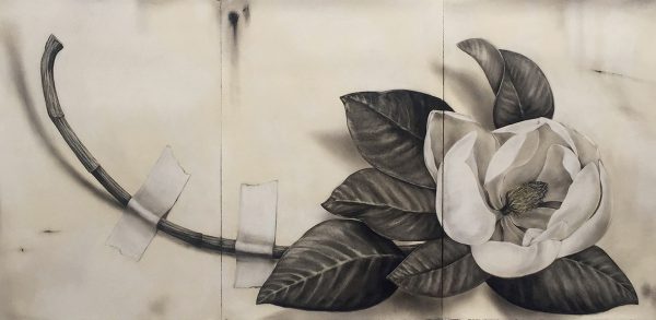 Magnolia With Branch