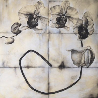 Large Orchid